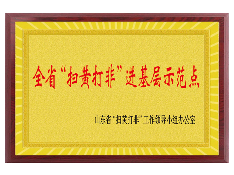 全省“扫黄打非”进基层示范点
