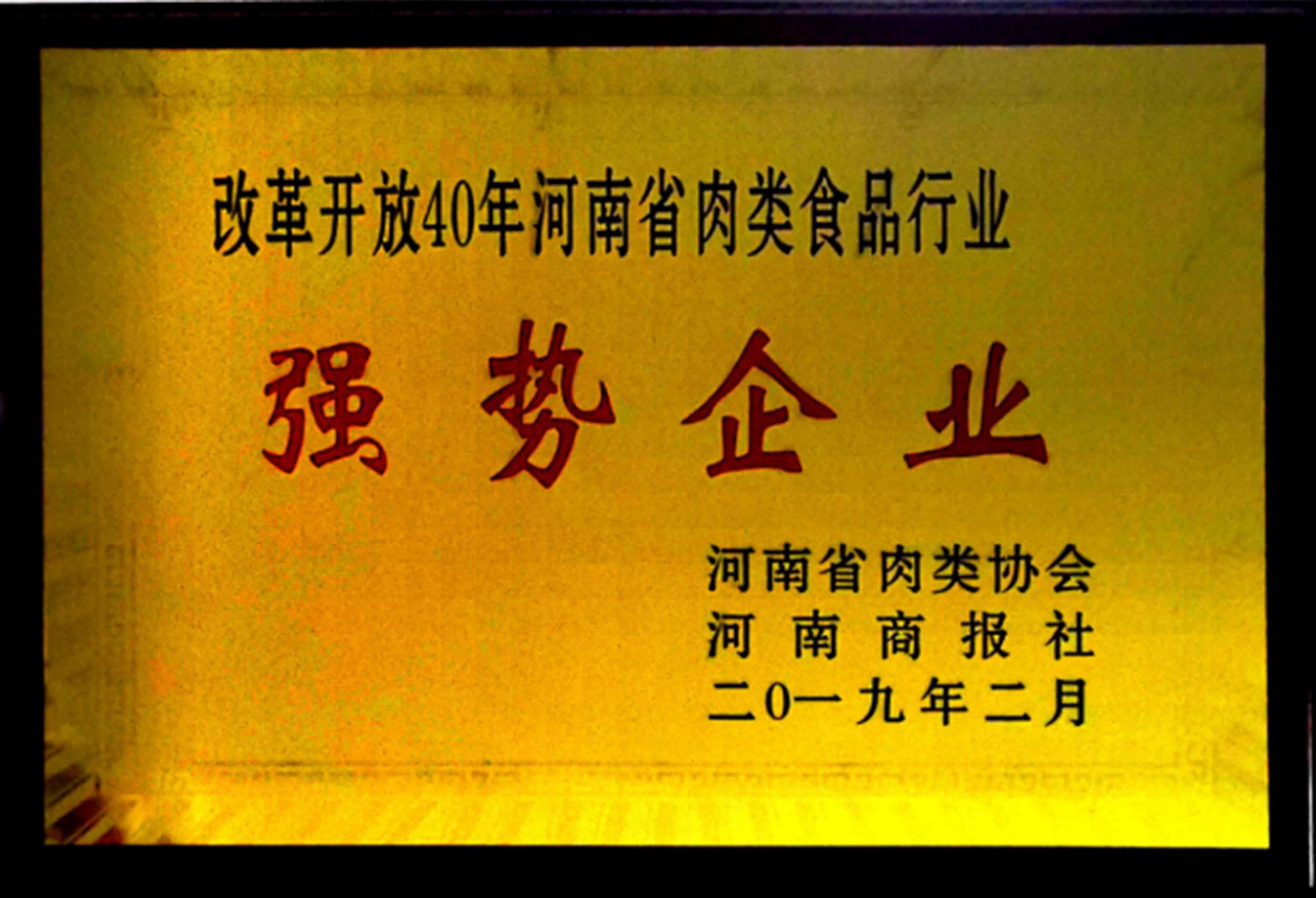 刷新开放40年河南省肉类食物行业强势企业