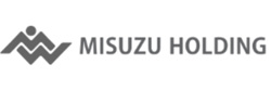 MISUZU HOLDING