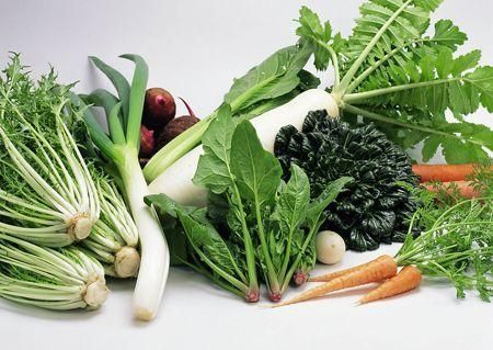 生活中的毒：有毒農(nóng)用殺蟲(chóng)劑污染蔬菜瓜果