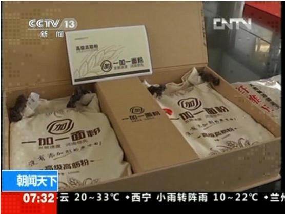 CCTV《朝闻天下》栏目对一加一面粉王刚董事长的采访