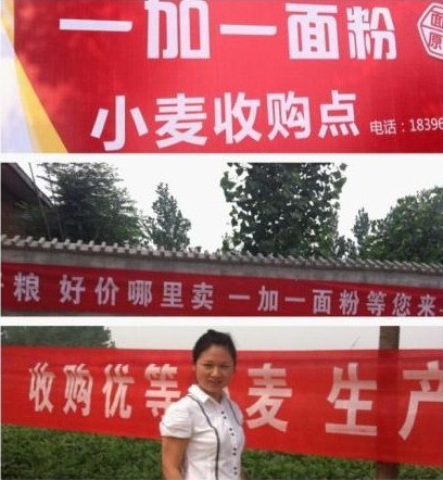 一加一面粉订单农业助力夏粮收购 先进管理模式确保高端面粉品质