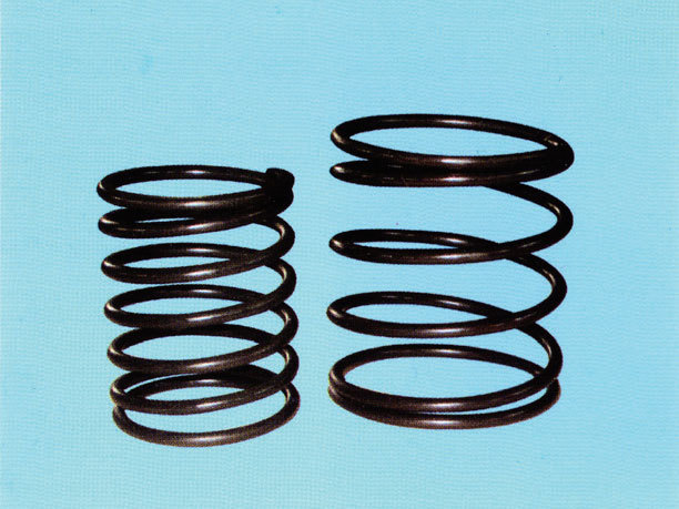 Valve spring