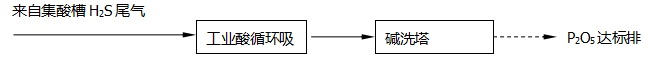 Guangxi Qinzhou Capital Success Chemical Co., Ltd. 