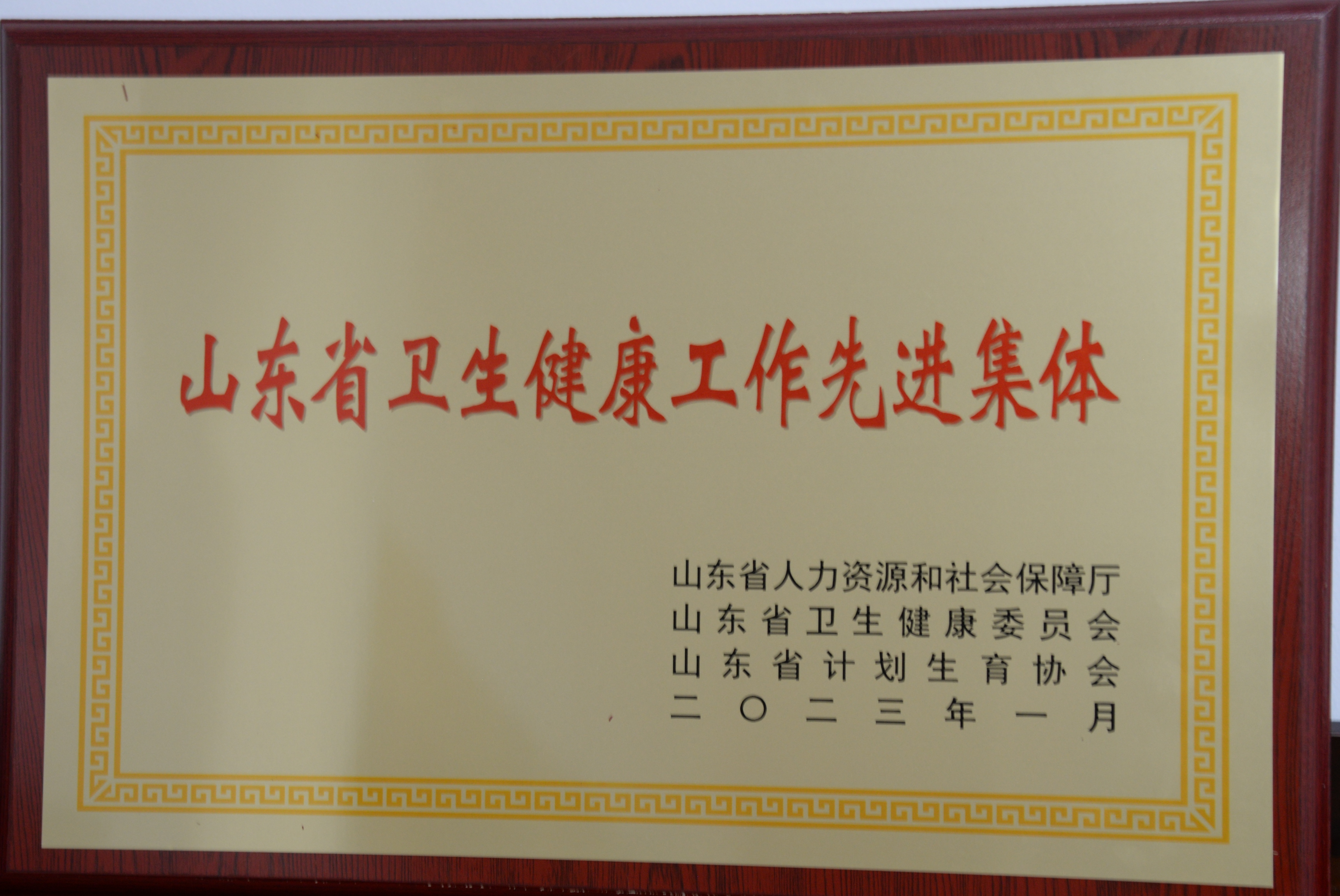 山東省衛(wèi)生健康工作先進(jìn)集體 2023.01 山東省衛(wèi)生健康工作先進(jìn)集體 2023.01