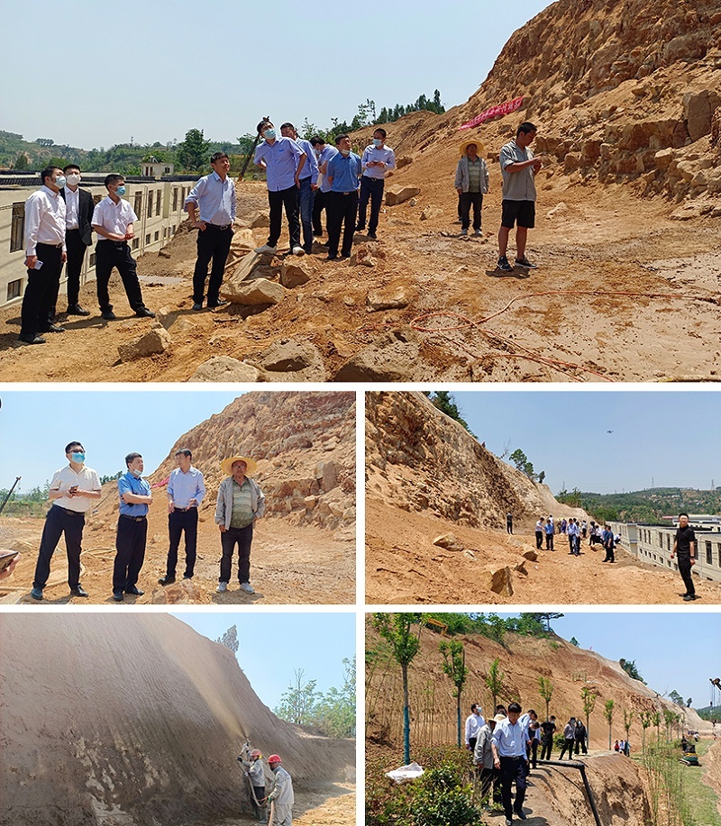 Leaders and experts from China Construction Five Bureau, Henan Geological and Mining Bureau, China Nuclear Five Institute, Henan Water Conservancy and Environment Vocational College visited Sano Repair