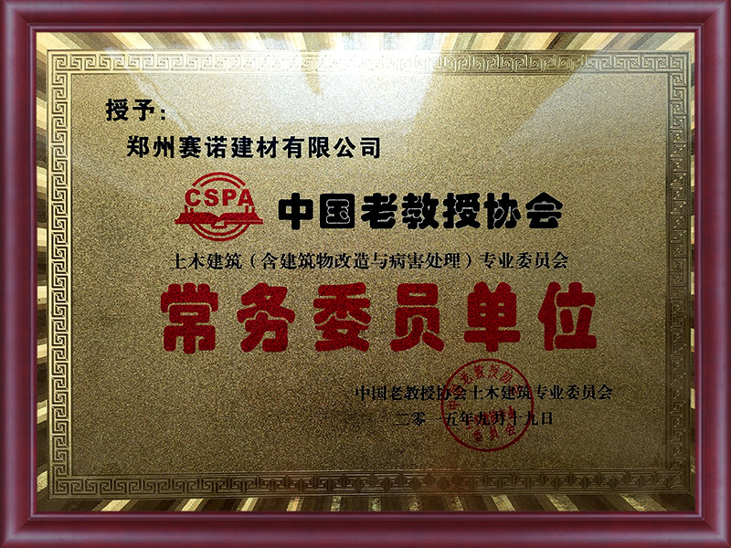 China Senior Professors Association in 2015