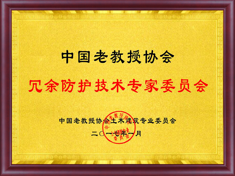 17年中國(guó)老教授協(xié)會(huì)冗余防護(hù)