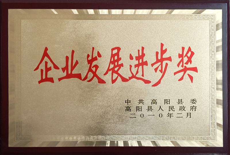 企業發展進步獎