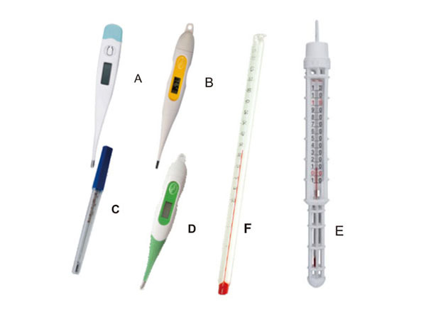 KD913 Veterinary Thermometer