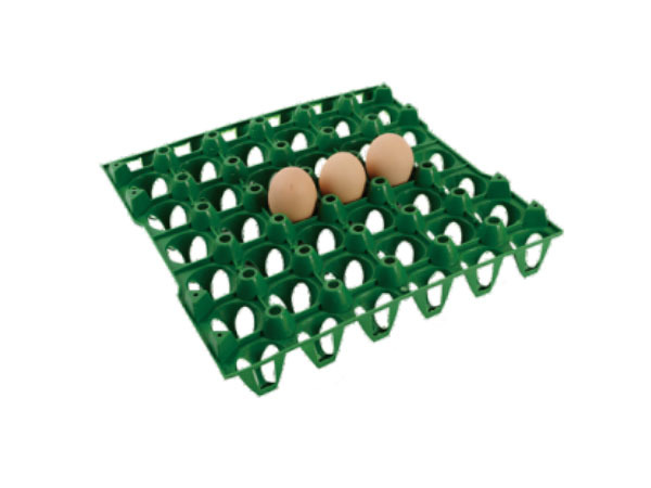 KD638  Plastic egg tray B-Type