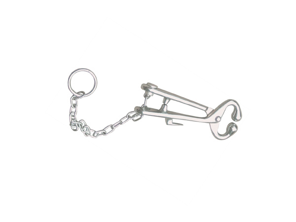 Bull Holder With Chain A-Type
