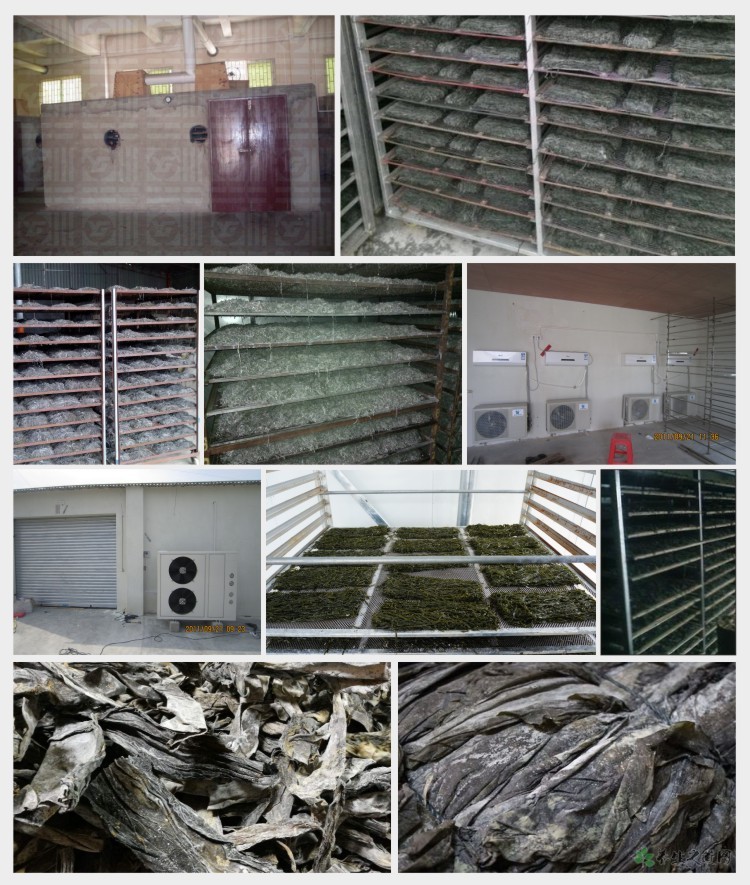 Heat Pump Dryer for Marine Products Drying