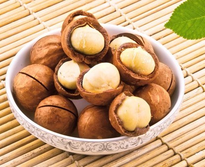 Heat Pump Dehumidification Dyer for Macadamia Nut Drying