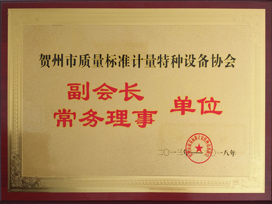 賀州市質量標準計量物種設備協會副會長單位
