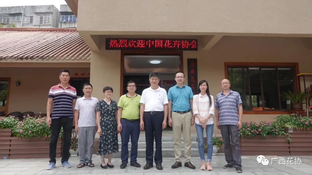 中国花卉协会领导到广西花卉协会调研指导