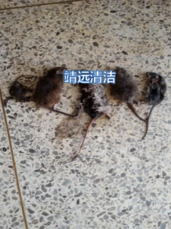 某高校消杀工作现场