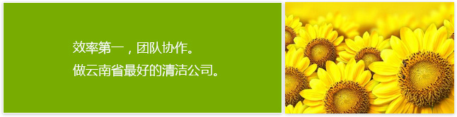 企业文化