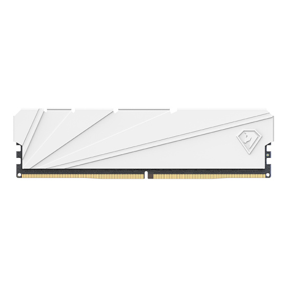Netac DDR4 DRAM 32GB Kit16GBx2 C16 3200MHz XMP 2.0 Dual