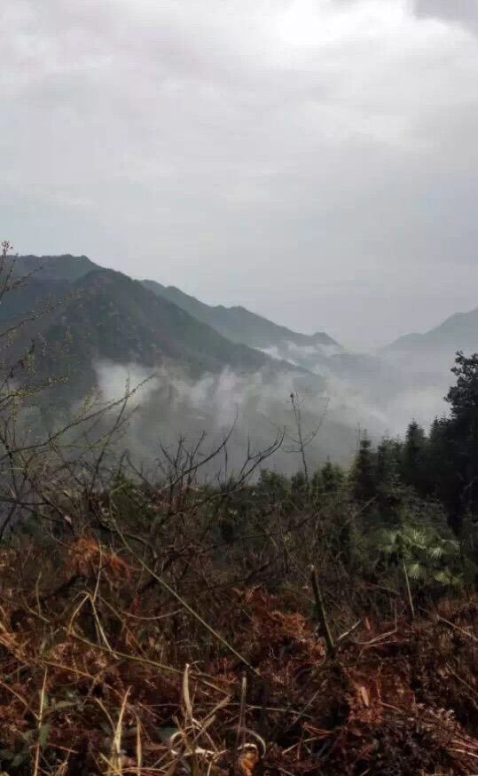 广西南宁圆通禅舍文化传媒有限公司