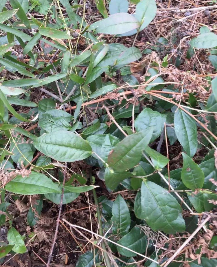 广西南宁圆通禅舍文化传媒有限公司