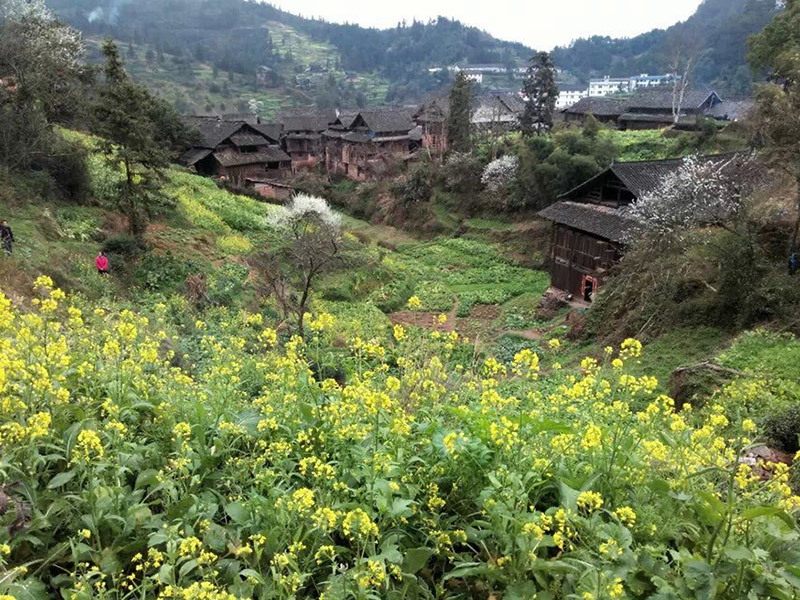 广西旭雅文化传媒有限公司
