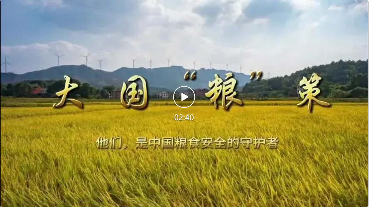 大国“粮”策：节水抗旱稻让沙漠变粮仓成为可能.png