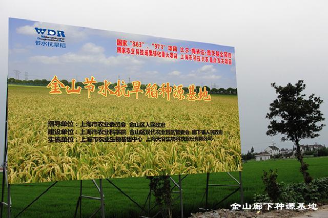 Jinshan Langxia provenance base