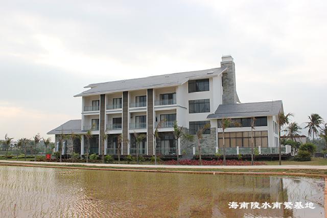 Hainan Lingshui South breeding base