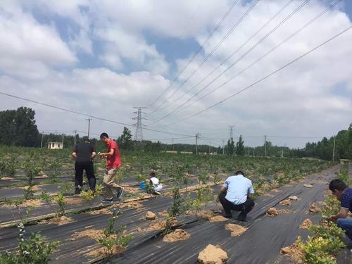 膨润土防水毯的作用和施工方法