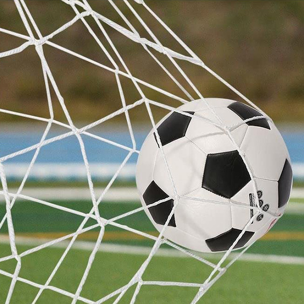 Football Net/Soccer Net
