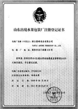 Customs filing certificate
