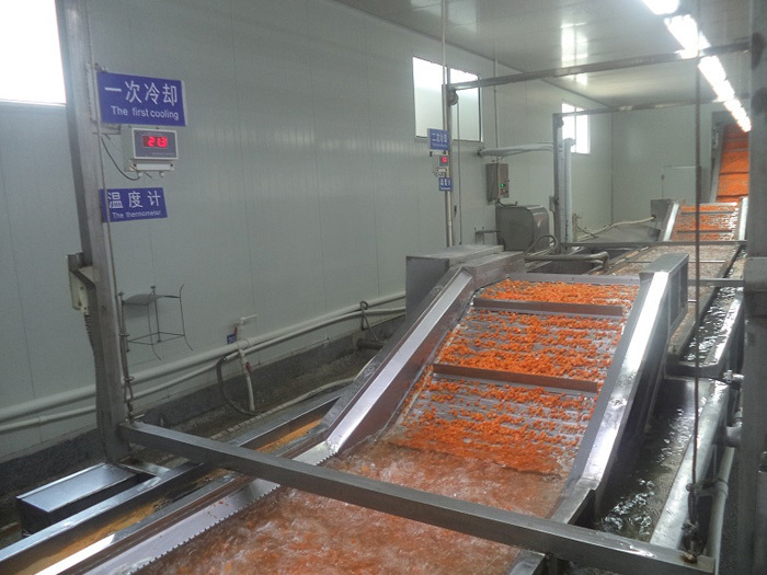 Carrot Production Line