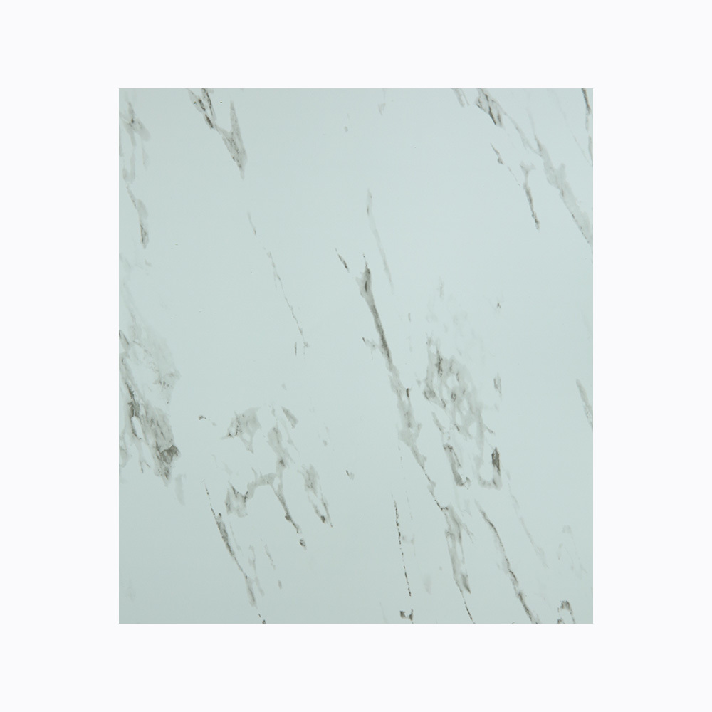 SX-0017 Big white