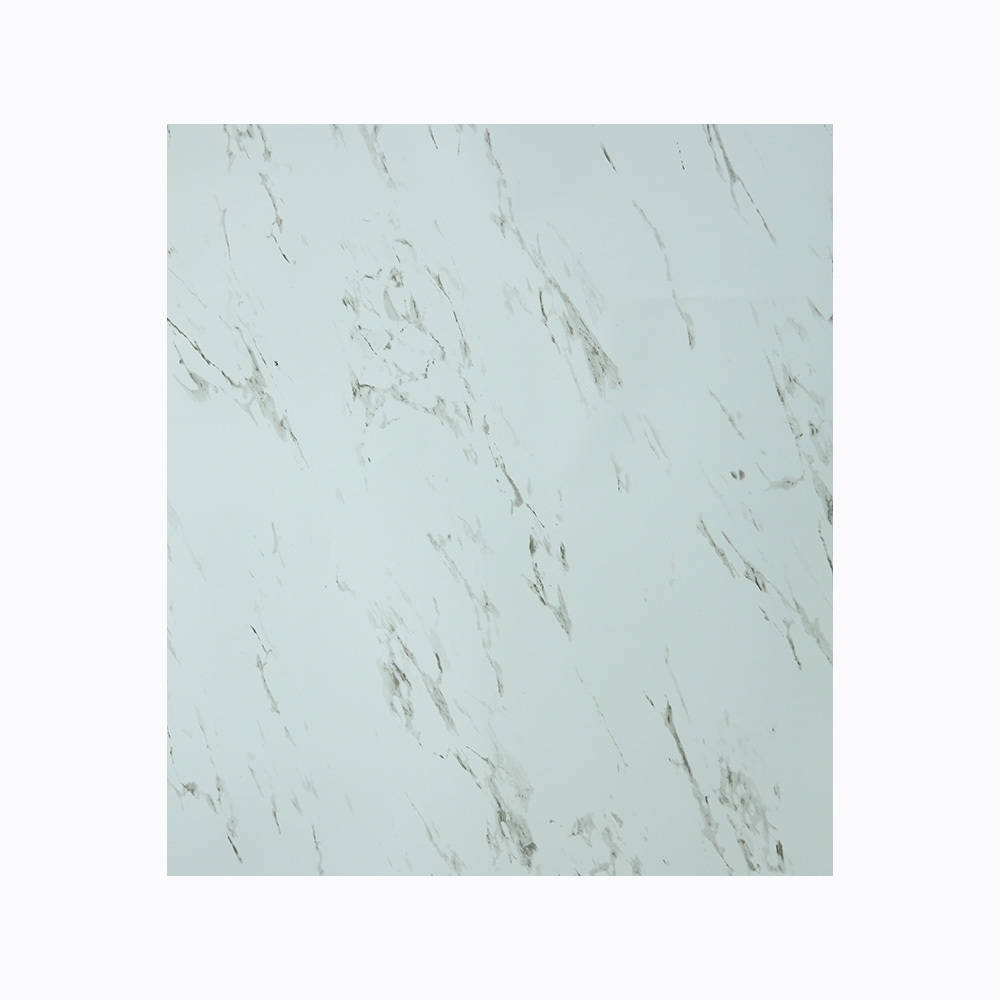 SX-0017 Big white
