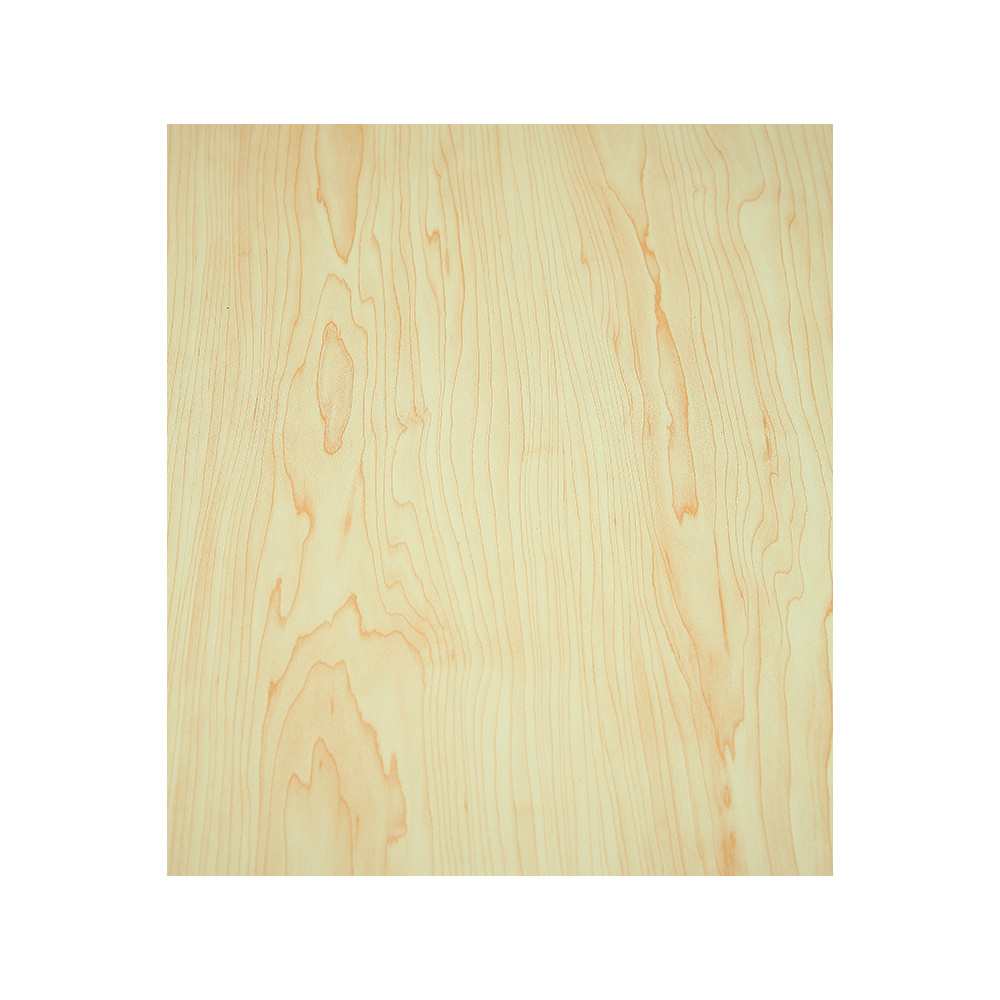 SX-0170 White maple