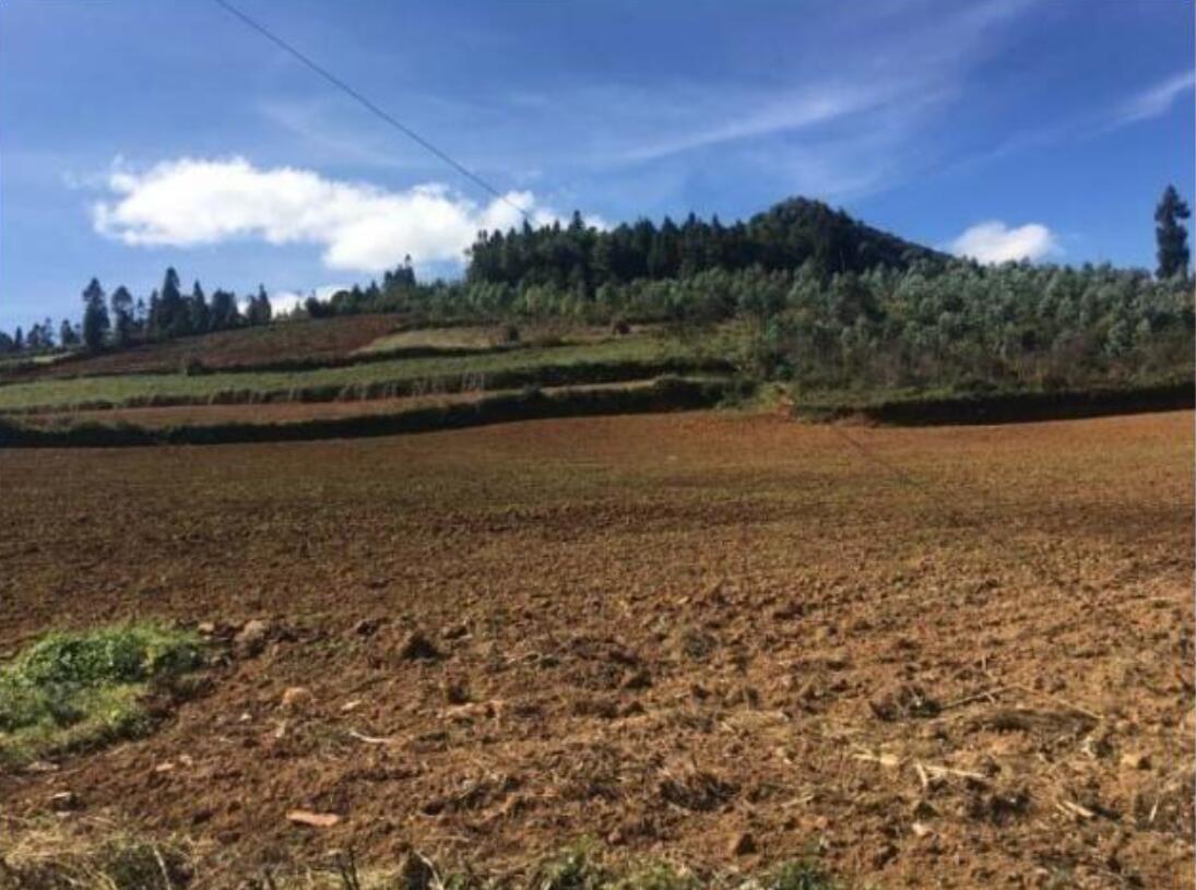 蒙自雨過鋪至老寨鄉(xiāng)天然氣輸氣管道項目臨時用地土地復(fù)墾