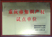 Chongqing Intellectual Property Pilot Unit