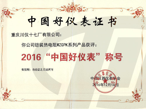 2016“中国好仪表”称号1