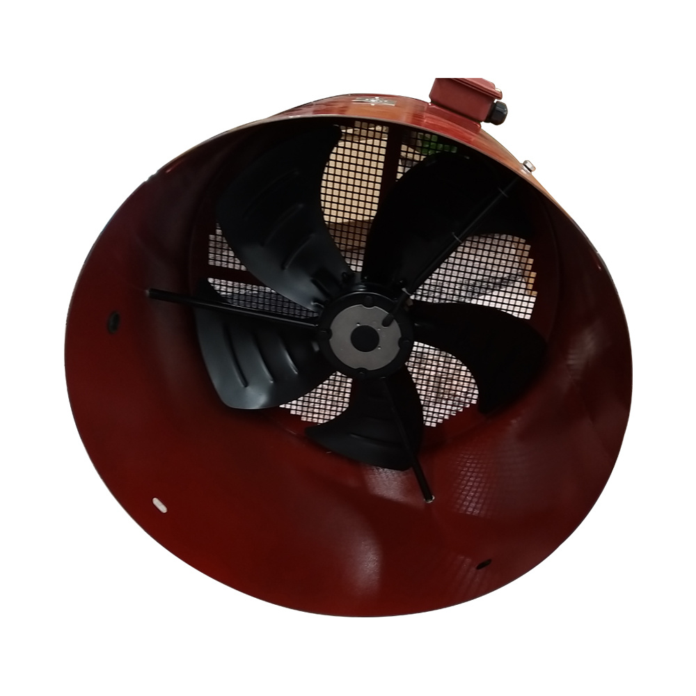 Fan