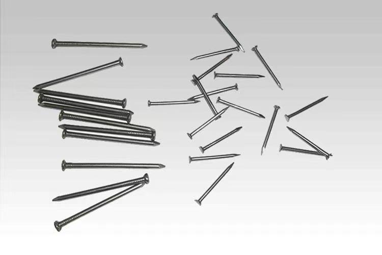 small stainless steel nails