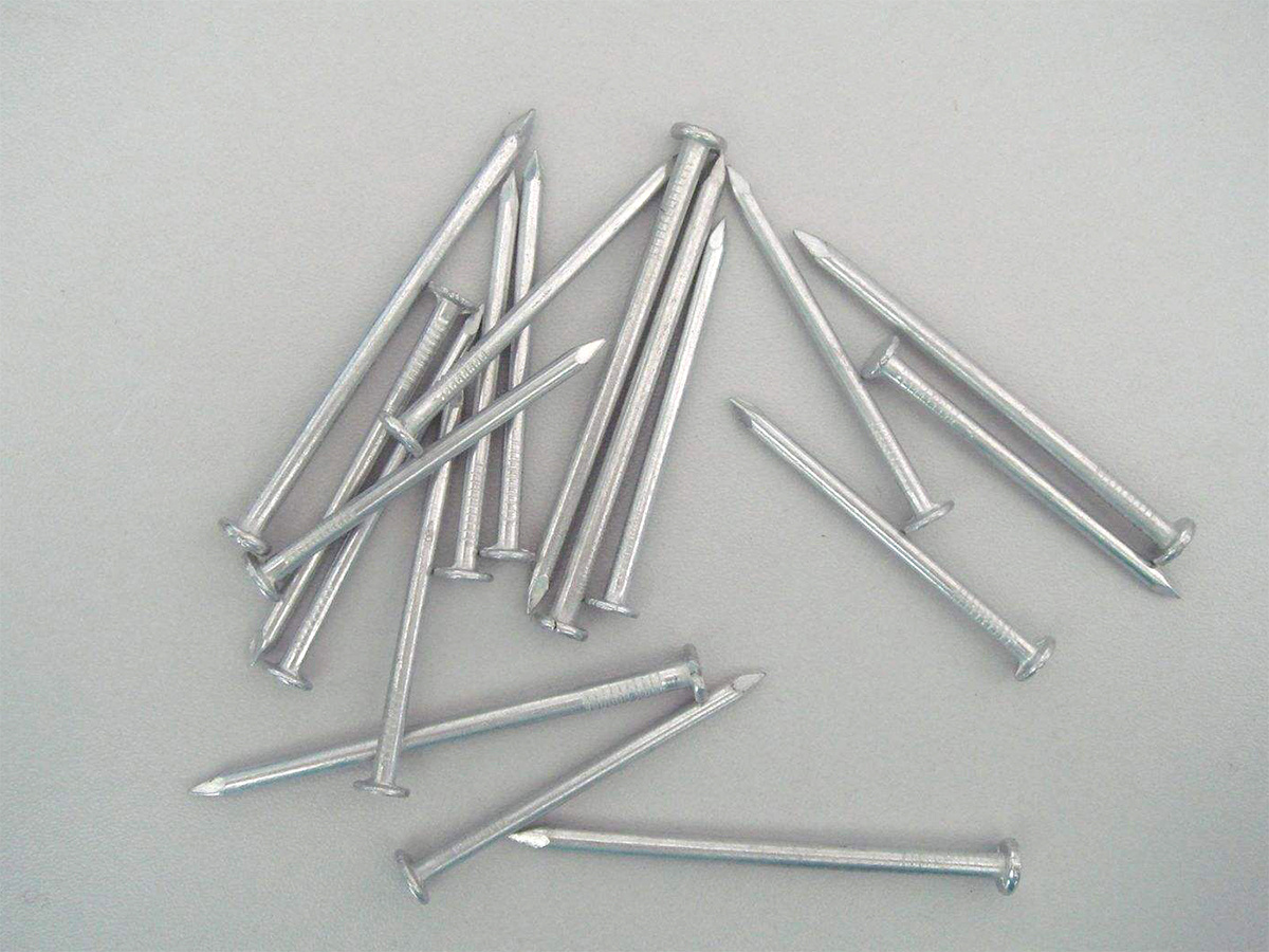 Common nail