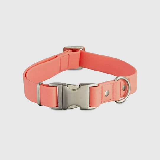 Pet Collars