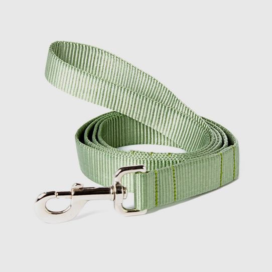 Pet Leashes