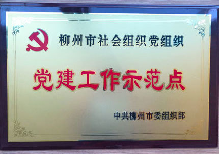 柳州市社会组织党组织党建工作示范点