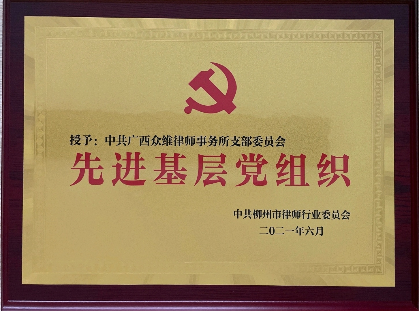 2020年柳州市律师行业先进基层党组织