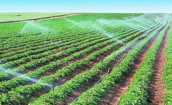 奉贤区2012年设施菜田水利设施配套项目灌溉自动化系统
