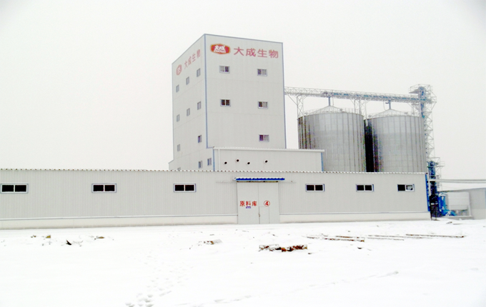 山东大成生物