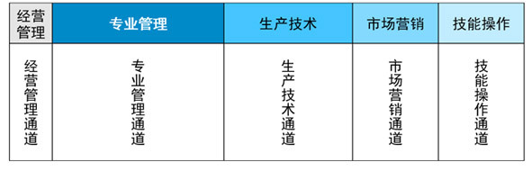 開辟五大職類發展通道