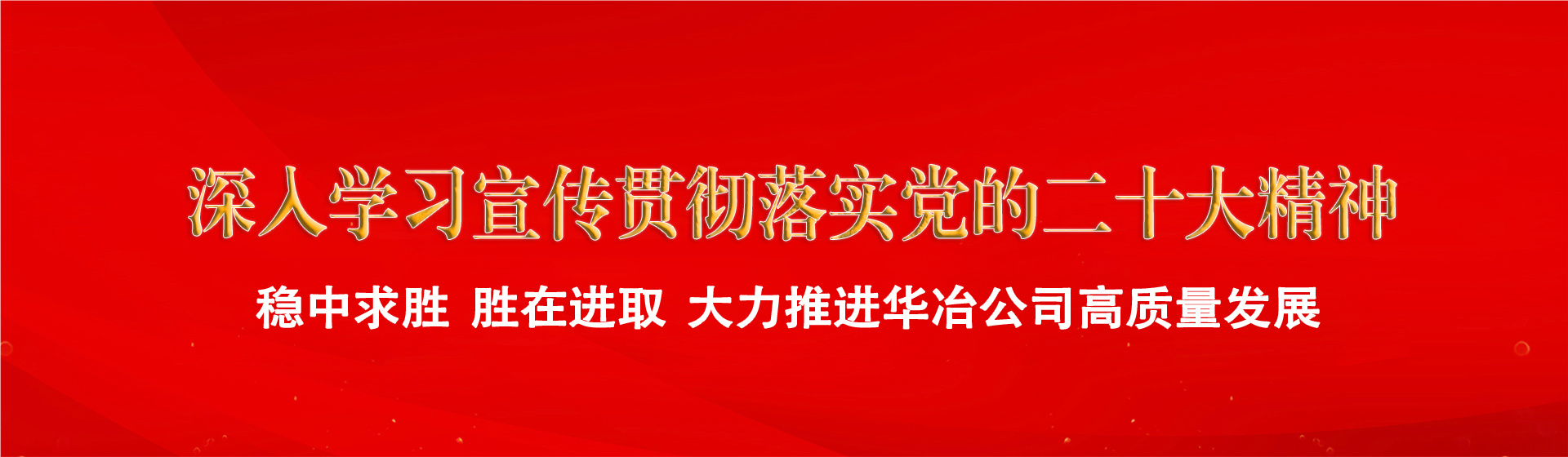 深入學習宣傳貫徹落實黨的二十大精神